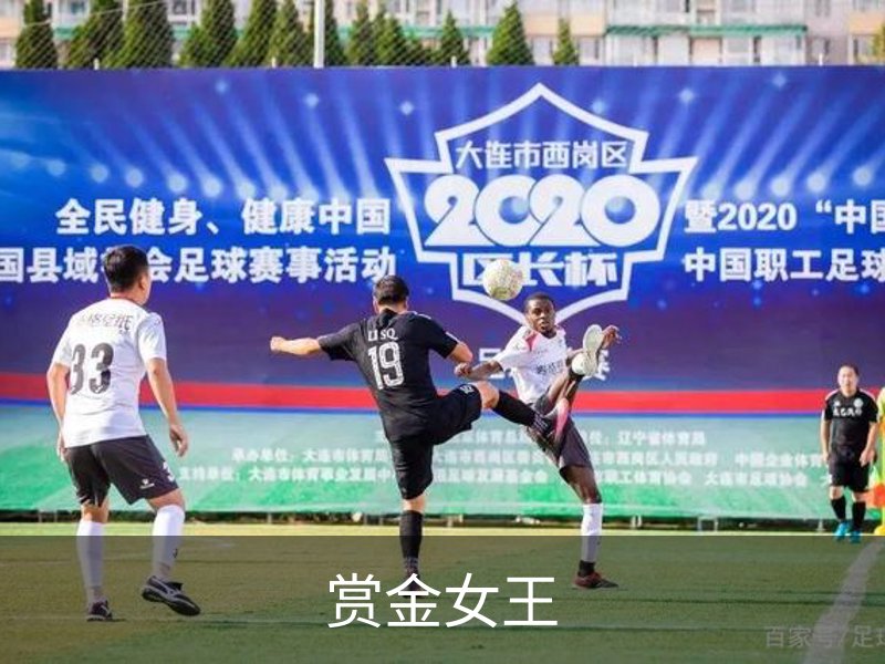 赏金女王简介